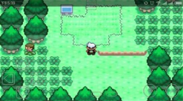 口袋妖怪神兽领域单机版