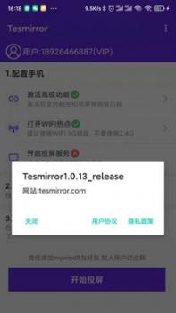Tesmirror v2.0.5