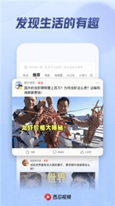 西瓜视频  v8.4.4