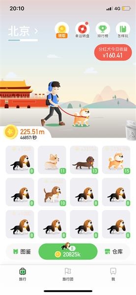 旅行世界分红犬
