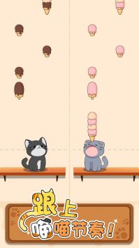 猫咪喵喵