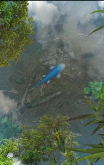 鱼池 v1.58