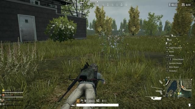 高配版刺激战场手游官网版下载最新正版  v4.1.4