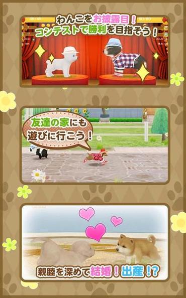 掌心小狗 v3.0.5