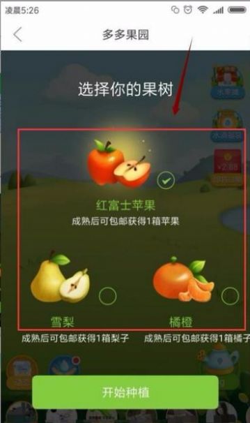 多多果园下载安装免费种树app送水果  v5.0.4