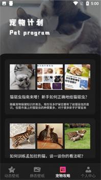 猫咪壁纸 v1.1