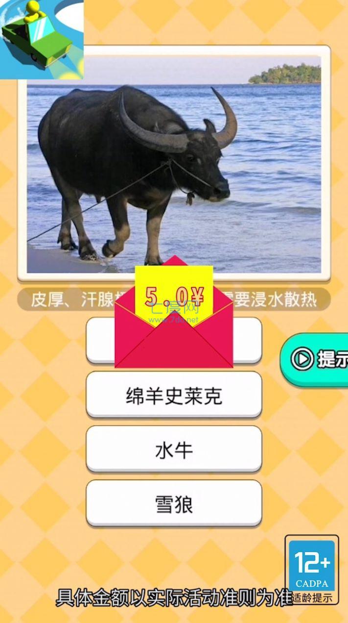 恐龙小车场红包版