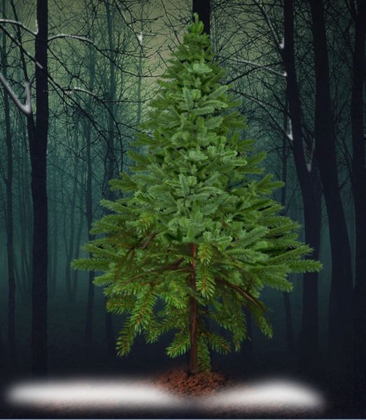 圣夜3无限提示最新版（HolyNight3）  v3.1.2