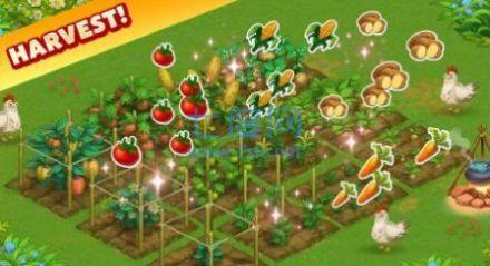 家庭冒险农场游戏