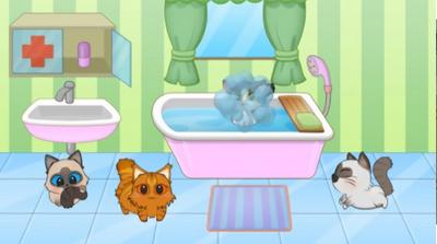 猫咪的生活 v2.0