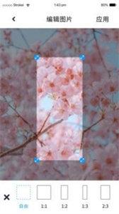 P图照片处理  v1.0.0