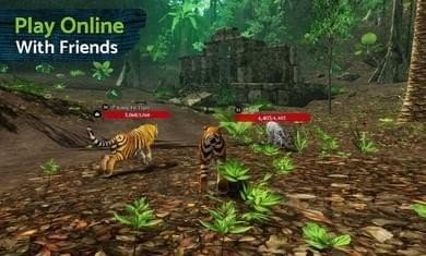 虎王模拟器 版本:v1.4.8