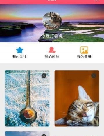 Popic壁纸  v1.1