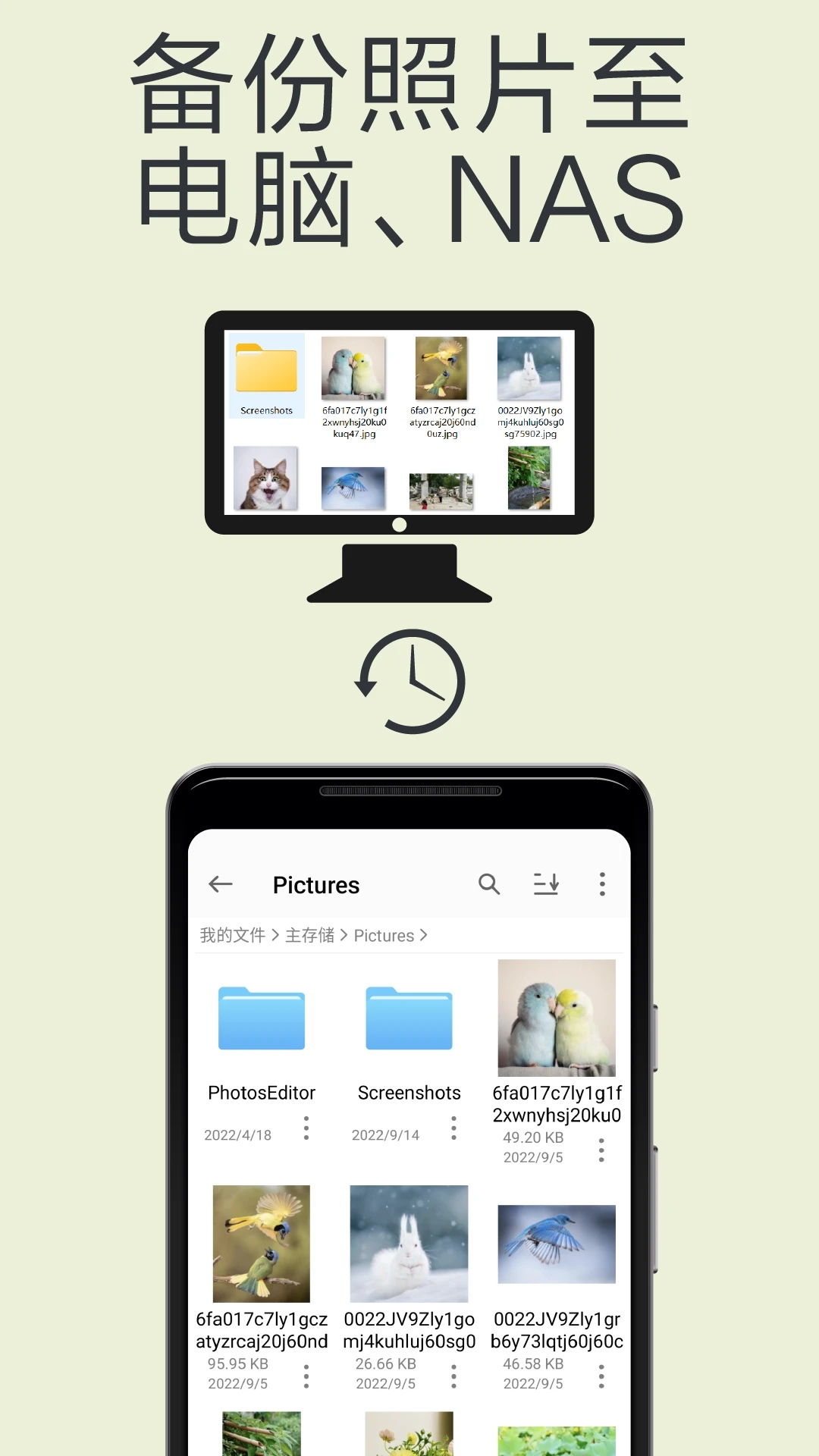 猫头鹰文件 v13.1