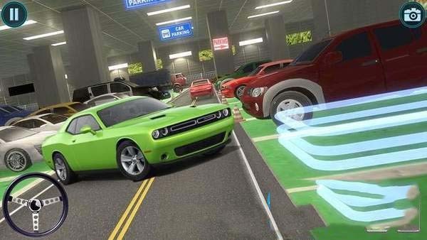 豪华停车狂热 2024-06-25 15:08