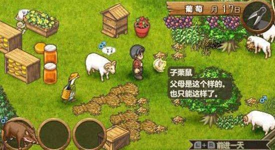 欢迎来到绵羊村手机版  v1.0