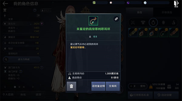 黑色沙漠官网版