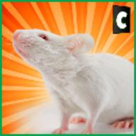 City Mouse Simulator(城市老鼠模拟器中文版)