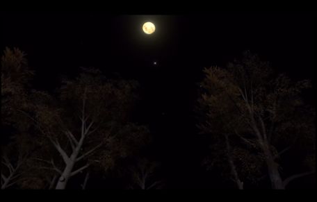 孙美琪疑案冯跃进攻略完整版  v3.1.3