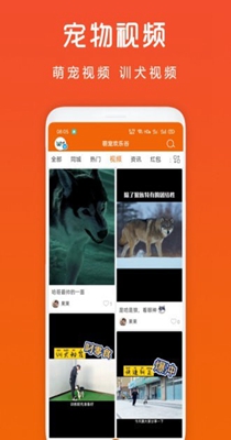 萌宠欢乐谷 (2).jpg