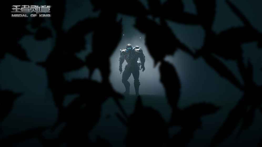 王者勋章破袭战最新版本更新官方下载地址  v3.3.2