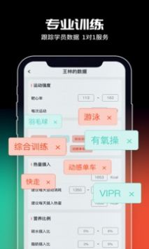 超燃型动 v2.0.5
