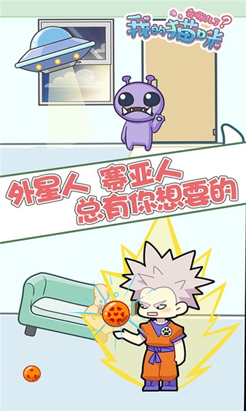 我的猫咪去哪儿了 v1.0 安卓版