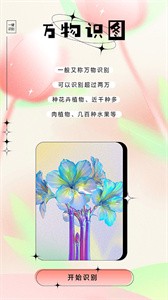 万物识图大师  v1.1