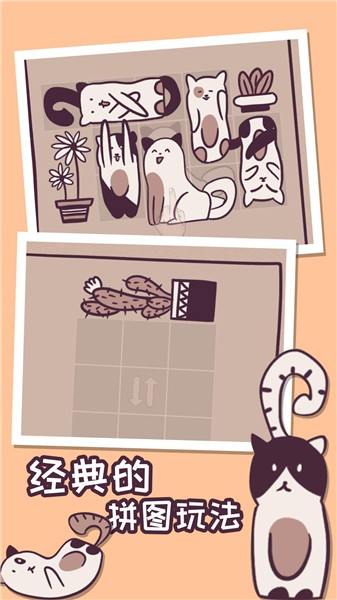 我的小猫贼好看  v1.0.0