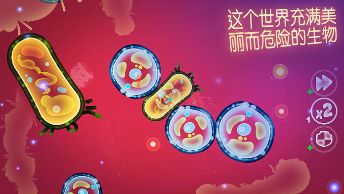 微观世界大作战 2020-08-19 10:07