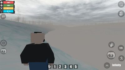 自由队幸存者中文版 v3.2.5