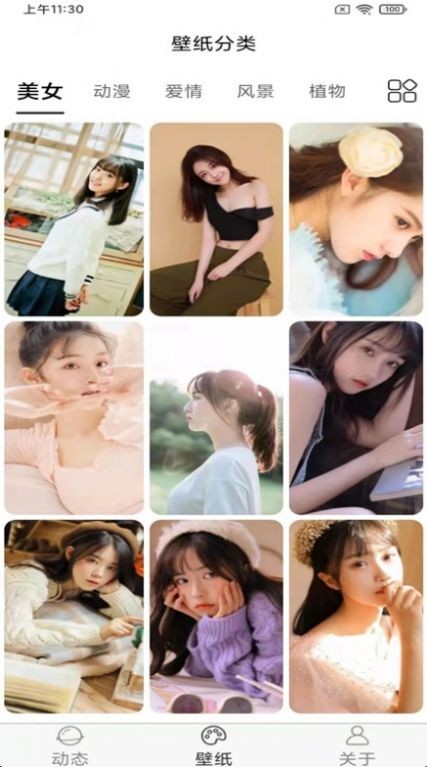 飞花动态壁纸  v1.1.0