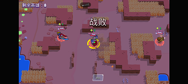 荒野乱斗私人服 v53.176