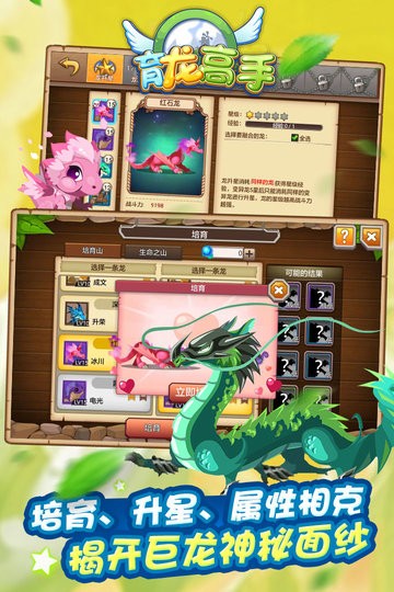 育龙高手  v2.9.3