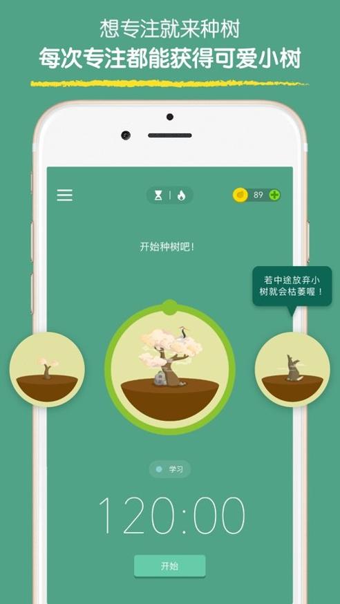 forest专注森林 v4.11.1