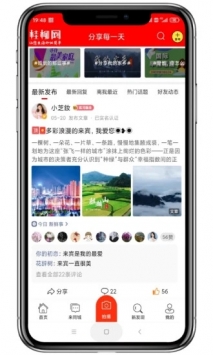 桂柳网截图0