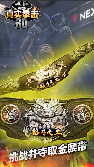真实拳击对决 v1.0