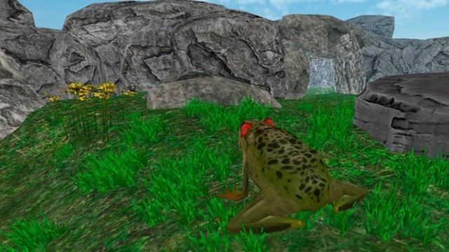 Frog Survival Simulator 3D(雨林青蛙生存模拟) v1.0.0 安卓版