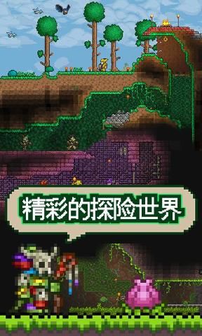 泰拉瑞亚1.3.5.2免激活官方下载更新最新版  v3.5.1