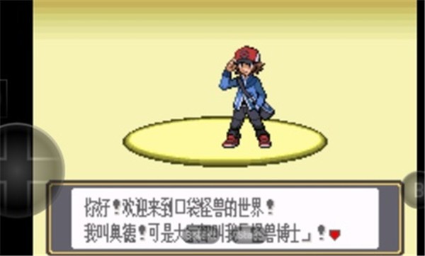 口袋妖怪黑白  v2021.08.04.17
