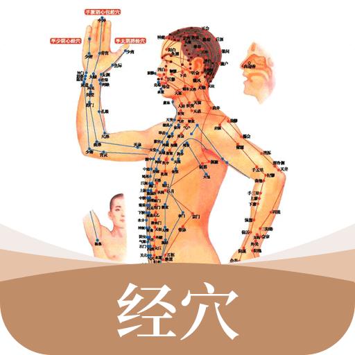中医经络穴位标准指南