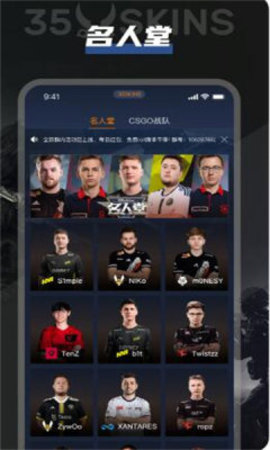 35Skins截图1