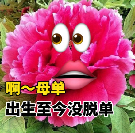 去年孤寡青蛙孤寡孤寡今年七夕牡丹表情包.jpg 去年孤寡青蛙孤寡孤寡今年七夕牡丹表情包.jpg