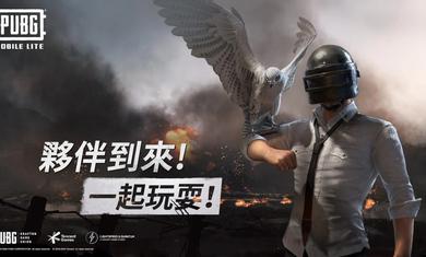绝地求生轻量版0.22.0  v0.22.1