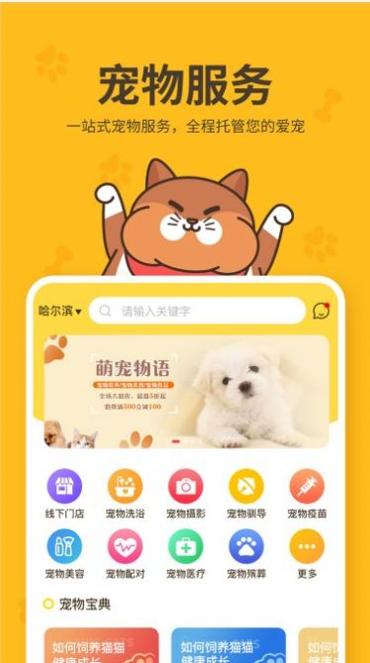 哈奇马截图0