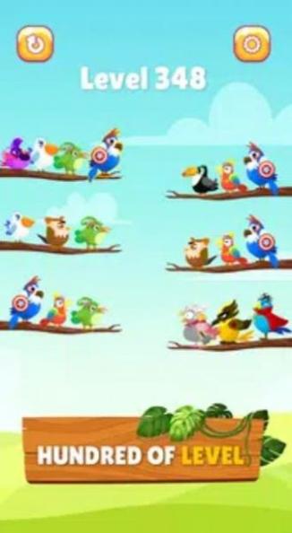 小鸟分类大师 v1.0.3