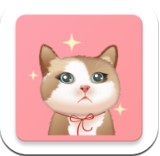 佐程人猫交流器