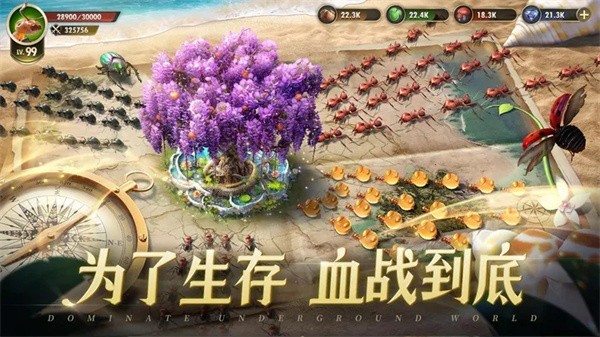 小小蚁国37官网版
