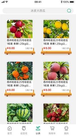 云南有块田截图1