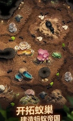 蚂蚁地下王国1.10.0下载手机版官方最新版 